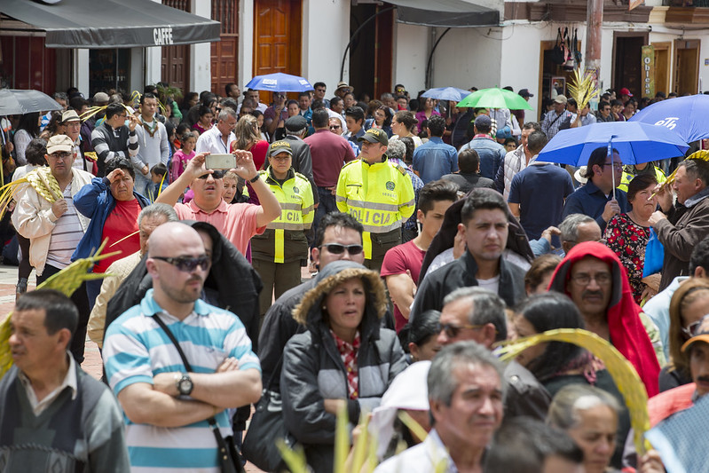 Imagen 2