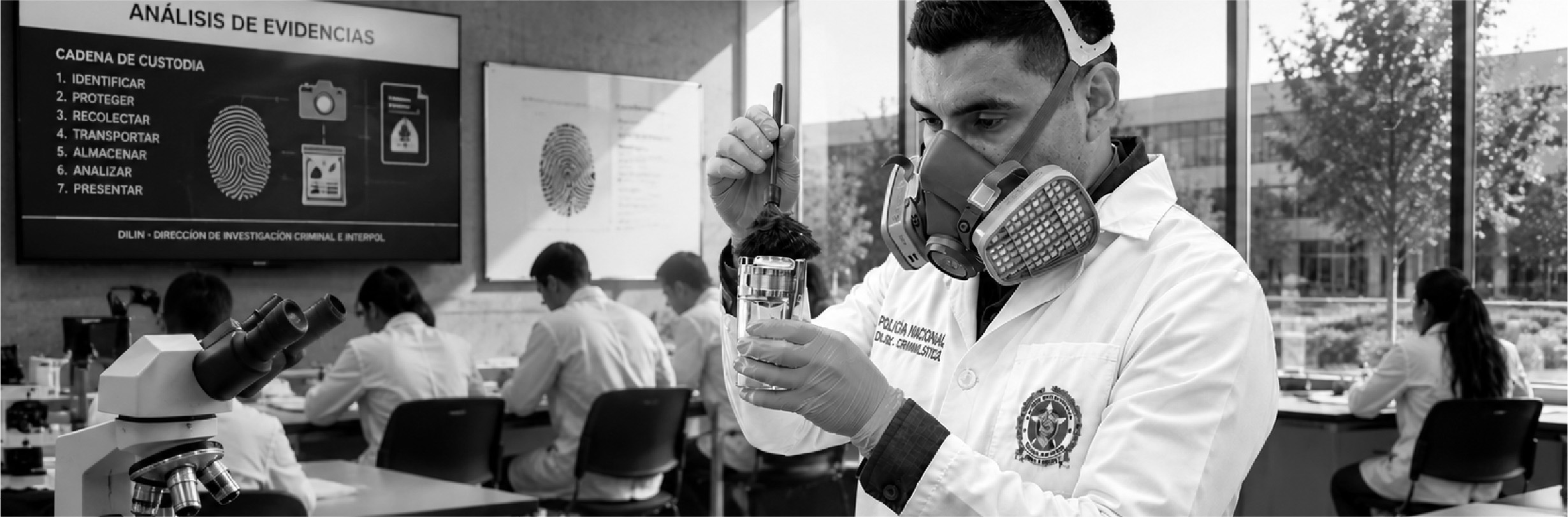 Formación académica y desarrollo profesional