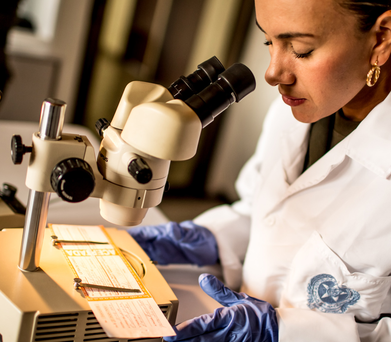 Técnica Profesional Documentología